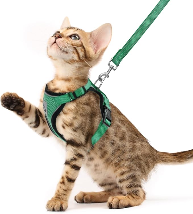 PUPTECK Cat Harness and Leash Set Escape Proof Reflective Cat Walking Harness Adjustable Soft Breathable Mesh Vest for Small Pets, Dark Green, XS