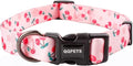 QQPETS Adjustable Soft Dog Collar: Print Flower Pink Multicolor Cute Patterns for XS Small Medium Large Pet Girl Boy Puppy Walking Running Training (XS, Sakura Pink)