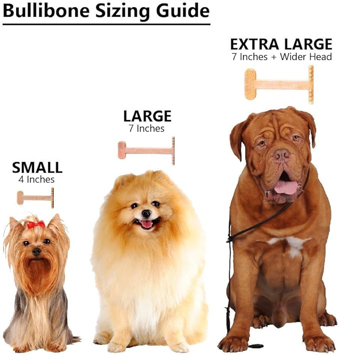 Bullibone Nylon Dog Chew Toy for Aggressive Chewers - Dental Hygiene Bone with Peanut Butter Flavor, Durable Tough Chew Toys for Small Dogs, Indestructible Dog Bone - 3 Pack