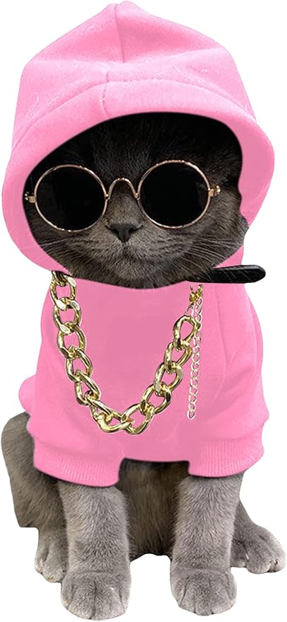 QWINEE 3Pcs Dog Hoodie Cat Apparel Dog Custume Set with Necklace and Sunglasses Pet Clothes for Puppy Small Medium Dogs Cats Light Pink X-Small