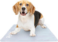 The Green Pet Shop Dog Cooling Mat Cover - Small, Cloud - Protect Your Cool Pet Pad from Dirt & Damage - Machine Washable