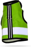 Kitty Holster Reflective Cat Harness – High-Visibility Cat Harness for Travel, Day and Night Walking - Soft Cotton Cat Accessories, Breathable, Secure & Washable, Made in USA - Loud Lime, XL