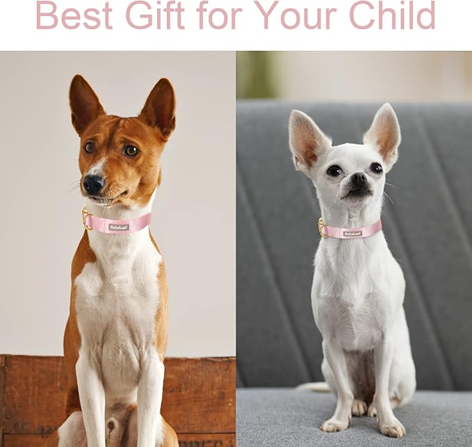 Nylon Dog Collar - Adjustable Pink Soft Webbing Dog Collars for Small Medium Large Dogs Boy Girl Puppy Collar with Safety Metal Buckle L