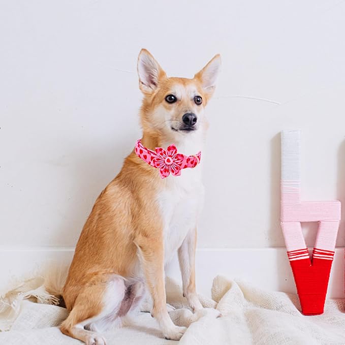 Lionheart glory Valentine's Day Dog Collar with Flower Dog Collar for Medium Dogs, Soft Adjustable Hearts Dogs Collars Spring Pet Collars Flower Puppy
