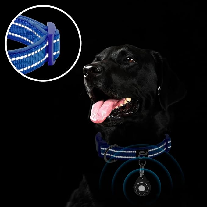 azuza Reflective Dog Collar with Airtag Holder, Soft Neoprene Padded Pet Collar with ID Tag Ring, Adjustable for Small Dogs,Royal Blue,S
