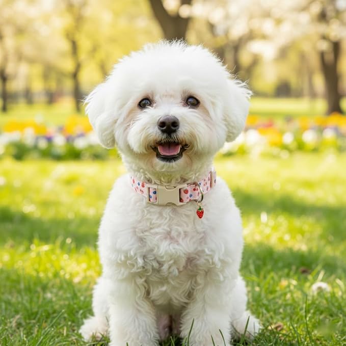 Pink Dog Collar, Female Dog Collar for Large Dogs with Strawberry, Cherry and Blueberry Print, Spring Summer Collar Made of Durable Soft Fabric, L