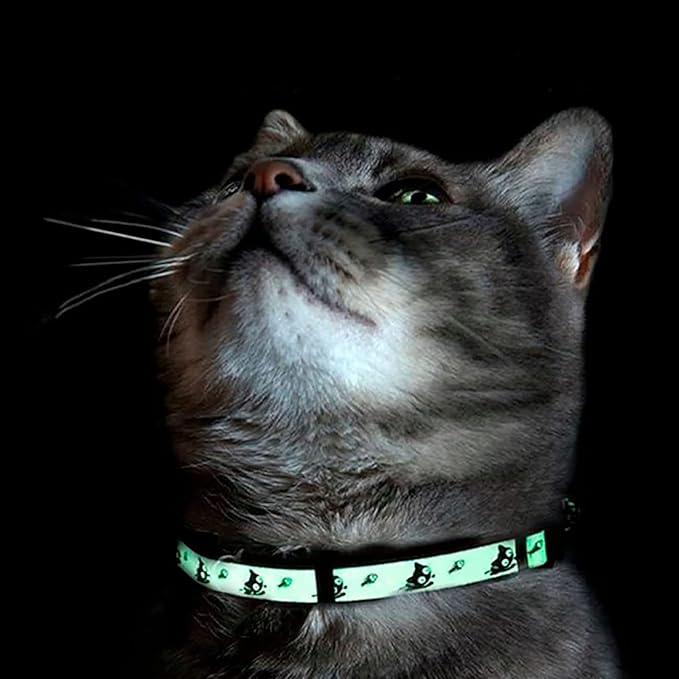Pawtitas Glow in The Dark Cat Collar with Breakaway Safety Buckle & Bell Adjustable Kitten Collar, Pink