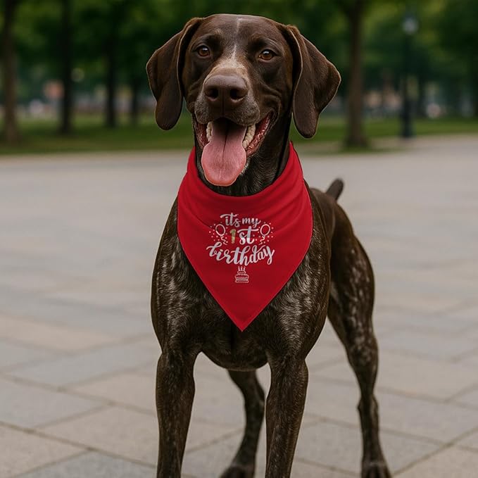 Birthday Dog Bandana, It's My 1 st Birthday Pet Costumes, Adjustable Comfortable Triangle Dog Scarf, Pet Birthdays Accessory for Small and Medium Dogs