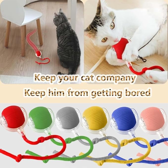 Interactive Cat Toys for Indoor Cats, Agility Move Cat Balls,Motion Activated Cat Balls, Cat Toys for Bored Indoor Cats (Blue)