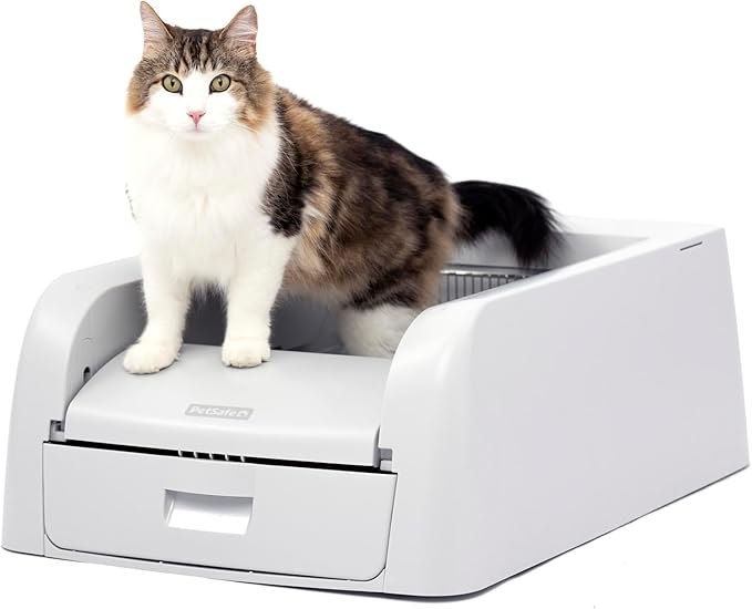 PetSafe ScoopFree Clumping Self-Cleaning Litter Box - Automatic Electric Litter Box with Integrated Health Counter - Mess-Free Waste Disposal - Odor-Free for Fresh Environment