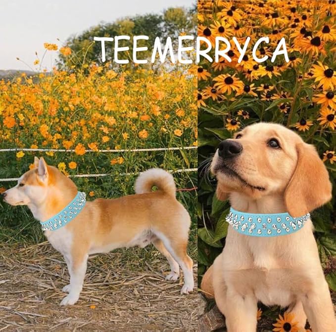 TEEMERRYCA Adjustable Microfiber Leather Spiked Studded Dog Collars with a Squeak Ball Gift for Small Medium Large Pets Like Cats/Pit Bull/Bulldog/Pugs/Husky, Blue, XS 8.3-10.6 inches