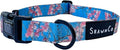 ShawnCo Dream Walk Dog Collar- Premium, Adjustable and Comfortable Pet Collar for Small, Medium, Large and Extra Large Dogs (M, Freckle's Garden)