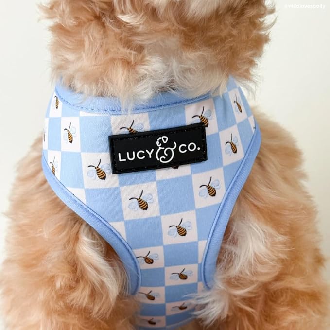 Lucy & Co. Bumbling Around Reversible Dog Harness, Adjustable Comfort Fit with Dual Leash Attachments, X-Small