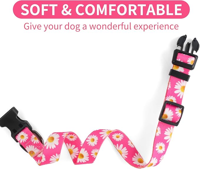 QQPETS Adjustable Soft Dog Collar: Print Flower Pink Multicolor Cute Patterns for XS Small Medium Large Pet Girl Boy Puppy Walking Running Training (S, Small Daisies)