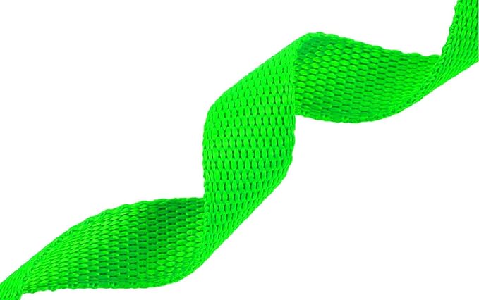 AmaGood Dog/Puppy Obedience Recall Training Agility Lead-15 ft 20 ft 30 ft 50 ft Long Leash-for Dog Training,Recall,Play,Safety,Camping (50feet, Green)