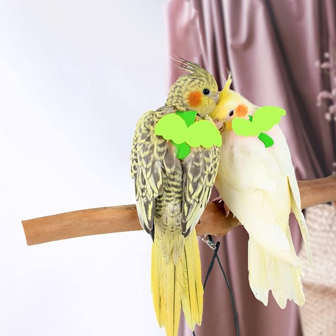 Dnoifne Pet Parrot Bird Harness and Leash, Adjustable Training Design Anti-Bite, Bird Nylon Rope with Cute Wing for Parrots, Suitable for Scarlet, Keck, Mini Macaw and Same Size Birds (Green)