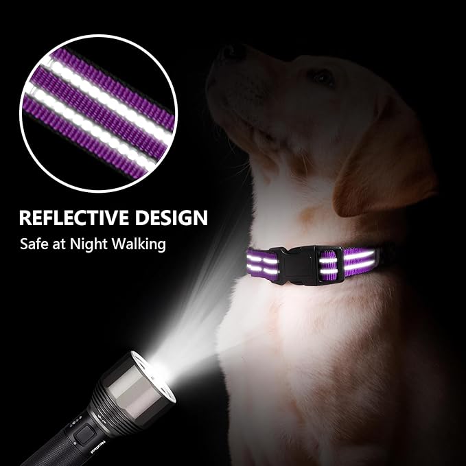 Martingale Dog Collar, Adjustable Nylon Reflective Collar with Quick Release Buckle (Real Purple, Medium)