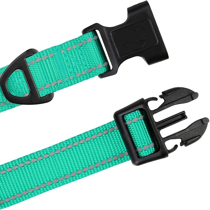 TagME Reflective Nylon Dog Collars, Adjustable Classic Pet Collar with Quick Release Buckle for Medium Dogs, Turquoise, 1.0" Width