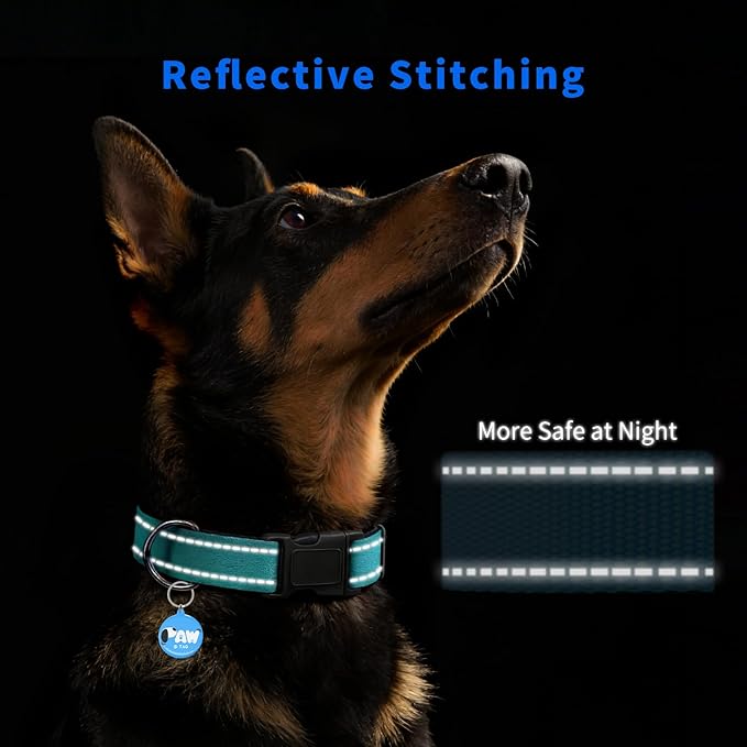 Reflective Dog Collar for Extra Small Dogs with Dog Tags Personalized & Quick Release Buckle, Adjustable and Comfortable Nylon Pet Collar, Mint Green