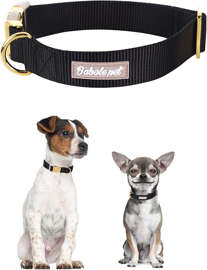 Nylon Dog Collar - Adjustable Black Soft Webbing Dog Collars for Small Medium Large Dogs Boy Girl Puppy Collar with Safety Metal Buckle M