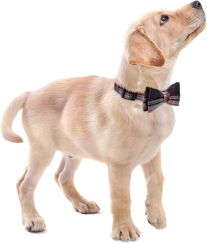 Faleela Soft &Comfy Bowtie Dog Collar,Detachable and Adjustable Bow Tie Collar,for Small Medium Large Pet (Red and White, Small (Pack of 1))