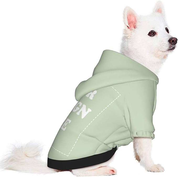 Personalized Chihuahua Dog Hoodie, Custom Pet Warm Sweatshirt Costume with Name Number Photo, Customize ID Clothes for Pupppy Kitten Dogs Cats, LightGreen, XXS