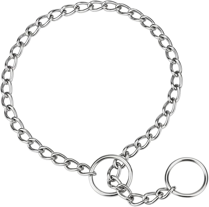 TagME Chain Choke Collar for Dogs, Adjustable Weather Proof Necklace for Small Dogs, Alloy Steel Pet Training Collar