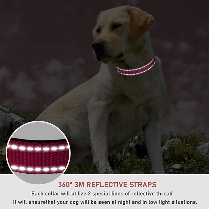 Reflective Dog Collar with Buckle Adjustable Safety Nylon Collars for Small Medium Large Dogs, Hotpink XXS