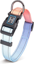 Roses&Poetry Reflective Dog Collar with Gradient Azure, Adjustable Durable Pet Collars for Small Medium Large Dogs (Azure-L)