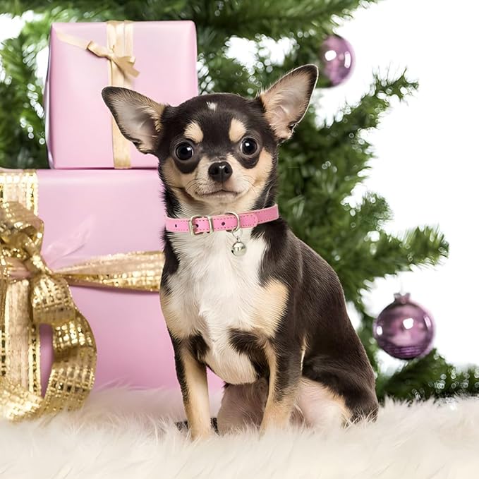 Pink XXS Cat Collar with Bell, Soft Pu Leather Puppy Collars Adjustable Buckle for XS Extra Small Medium Tiny Female Girl Pets Dogs Kitten Teacup Yorkie XX-Small