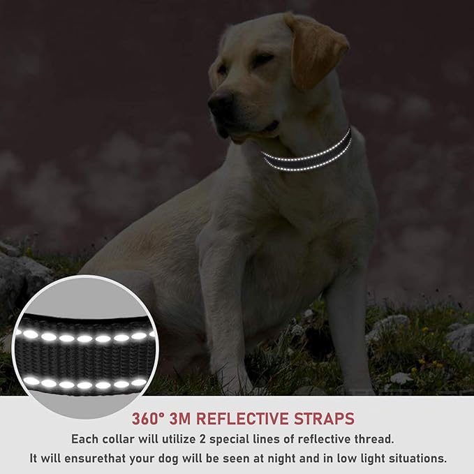 Reflective Dog Collar with Buckle Adjustable Safety Nylon Collars for Small Medium Large Dogs, Black M