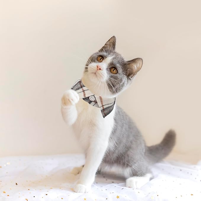 ADOGGYGO Cat Collar Breakaway with Bowtie Bell, Removable Shirt Collar, 2 Pack Beige Blue Plaid Collars for Cat Kitten