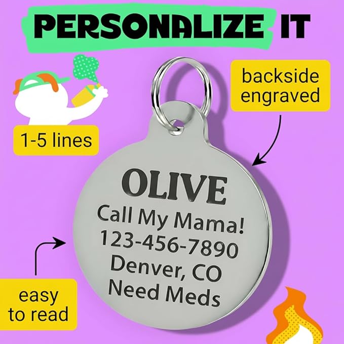 Bad Tags Personalized Dog and Cat ID Tags in 25+ Designs and 2 Sizes - 5 Lines of Custom Engraved Text - Funny Cute Personalized Pet Tags (Spoiled Rotten, Large (1.25 inch))