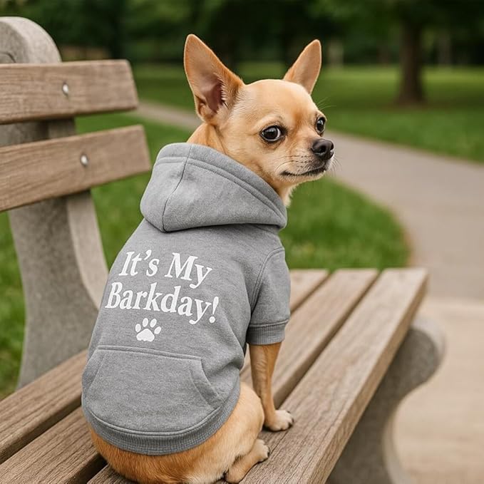 Godmerch Custom Embroidered Dog Hoodie, Embroidery Dog Sweaters for Small Dogs, Add Your Own Text, Customized Pet Clothes, Pet Mom Lovers Gifts