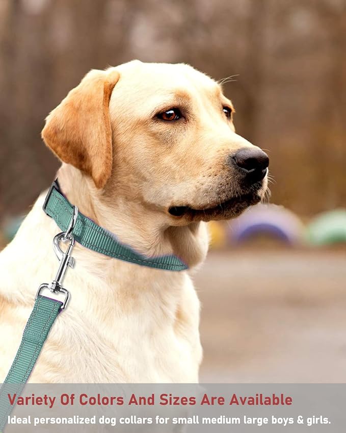 Reflective Dog Collar with Buckle Adjustable Safety Nylon Collars for Small Medium Large Dogs, Grey XS