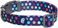 Blueberry Pet Essentials Rainbow Polka Dots Adjustable Dog Collar, Medium, Neck 14.5"-20"