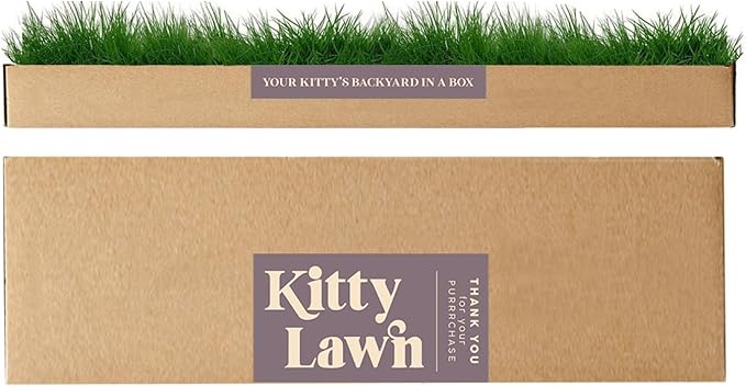 Kitty Lawn Real Grass Cat Window Perch - Natural Indoor Lounger for Large & Small Cats - California Grass - 24x9 Inch - USA Grown