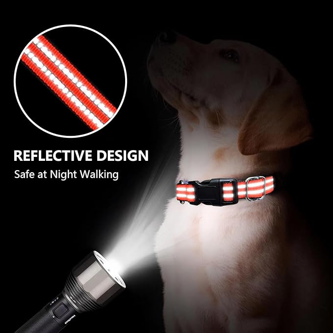 Martingale Dog Collar, Adjustable Nylon Reflective Collar with Quick Release Buckle (Bright Orange, Small)