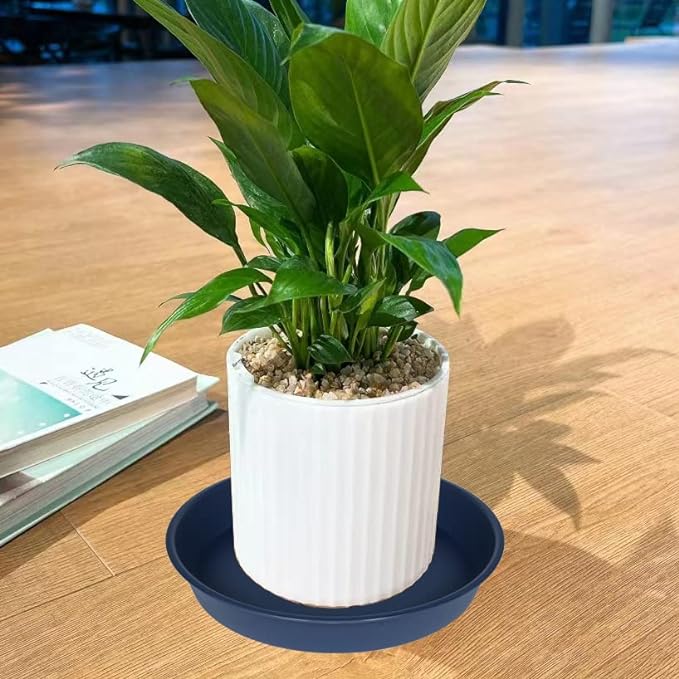 6 Pack of 10 inch Plant Saucer Blue, Heavy Duty Plastic Plant Saucer 10 inch Round, Flower Plant Saucers for Indoors, Plant Trays for Planter 8"/9"/10" (10", Blue)