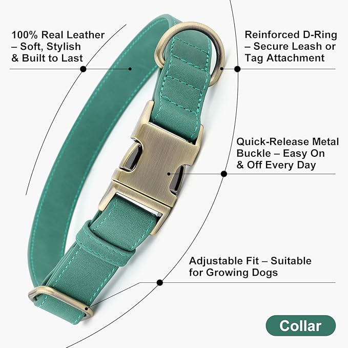 Plutus Pet Genuine Leather Dog Collar – Adjustable Pet Collar with Quick Release Metal Buckle, Soft Real Leather for Small Medium Large Dogs, Heavy Duty & Skin-Friendly (Green, XS)
