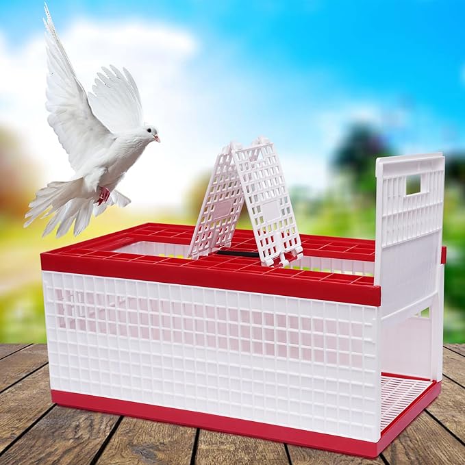 Plastic Foldable Pigeon Carrier Cage, Racing Pigeon Carrier Box with Handle 23.6"X12.2"X10.2" Portable Bird Travel Carriers Cage Bird Training Basket with 2 Side Doors and 2 Top Department