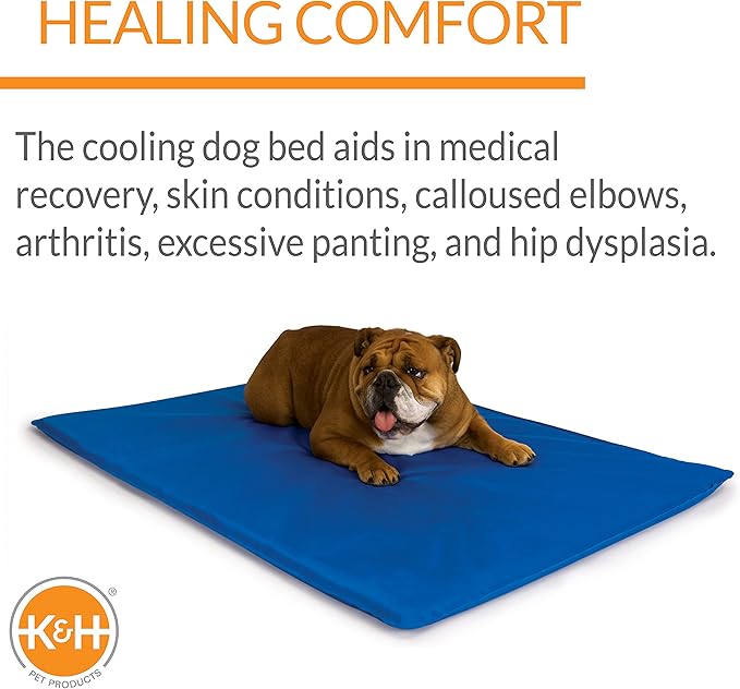 K&H Pet Products Cool Bed III Dog Cooling Mat, Indoor Outdoor Cooling Beds for Medium Dogs, Chilling Pet Pad for in Home, Outdoor Houses, Crates, Yards, Porches - Medium 32 X 22in Chill Blue