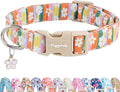 Faygarsle Colorful Floral Dog Collar, Cotton Fabric with Daisy Pattern, Multi-Color Stripes Spring Summer Design for Small Medium Large Dogs S