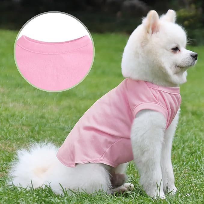 Custom Dog T-Shirts with Name for Pet Dogs, Breathable Personalized Print or Embroidered Name Clothes Summer Clothing Pullover for Pet Puppy Cats Kitten(M, 8 Colors T-Shirts)