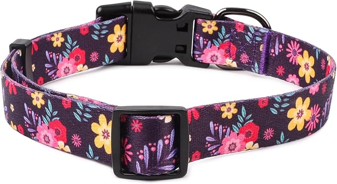 QQPETS Adjustable Soft Dog Collar: Print Flower Pink Multicolor Cute Patterns for XS Small Medium Large Pet Girl Boy Puppy Walking Running Training (XS, Elegant Purple)