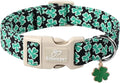 St Patricks Day Dog Collar for Small Dogs - Green Lucky Shamrock Boy Dog Collars, Irish Clover Pattern Black Male Puppy Collar with Quick Release Buckle S