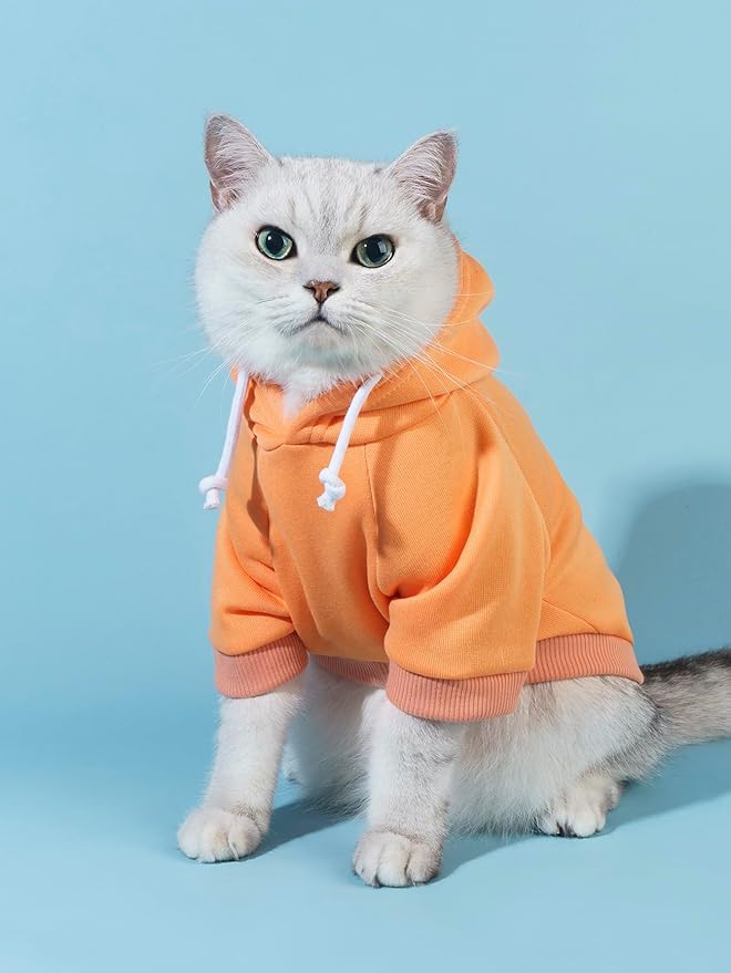 QWINEE Basic Dog Hoodie Sweatshirt Puppy Sweater Warm Cat Costumes Pet Clothes for Chihuahua Puppy Kitten Small Medium Dogs Orange Small