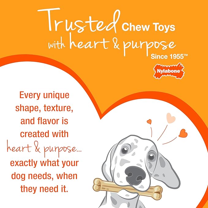 Nylabone Textured Bone Power Chew Toy for Dogs, Durable & Tough Dog Toys for Aggressive Chewers, Basted Blast Bacon and Steak Flavor, X-Large Dogs - 50+ lbs, 1 Count