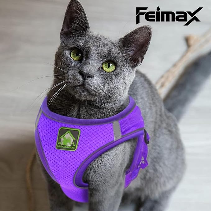 FEimaX Dog Harness and Leash Set, No-Pull Breathable Soft Mesh Puppy Vest Harness Reflective Adjustable Pet Harnesses for Small Medium Dogs and Cats - Outdoor Easy Control for Walking (XL, Purple)