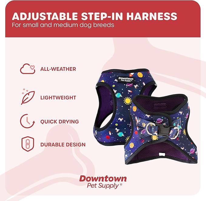 Downtown Pet Supply Step-in Dog Harness – No Pull, Adjustable Padded Mesh with Reflective Trim, Secure Buckle Strap – Comfortable & Breathable Small Dog Harness, X-Small, Space